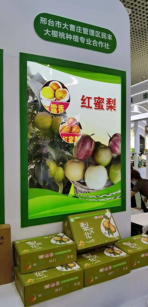 寧晉綠色農產品在廈門綠博會廣受歡迎，水產品零售表現搶眼